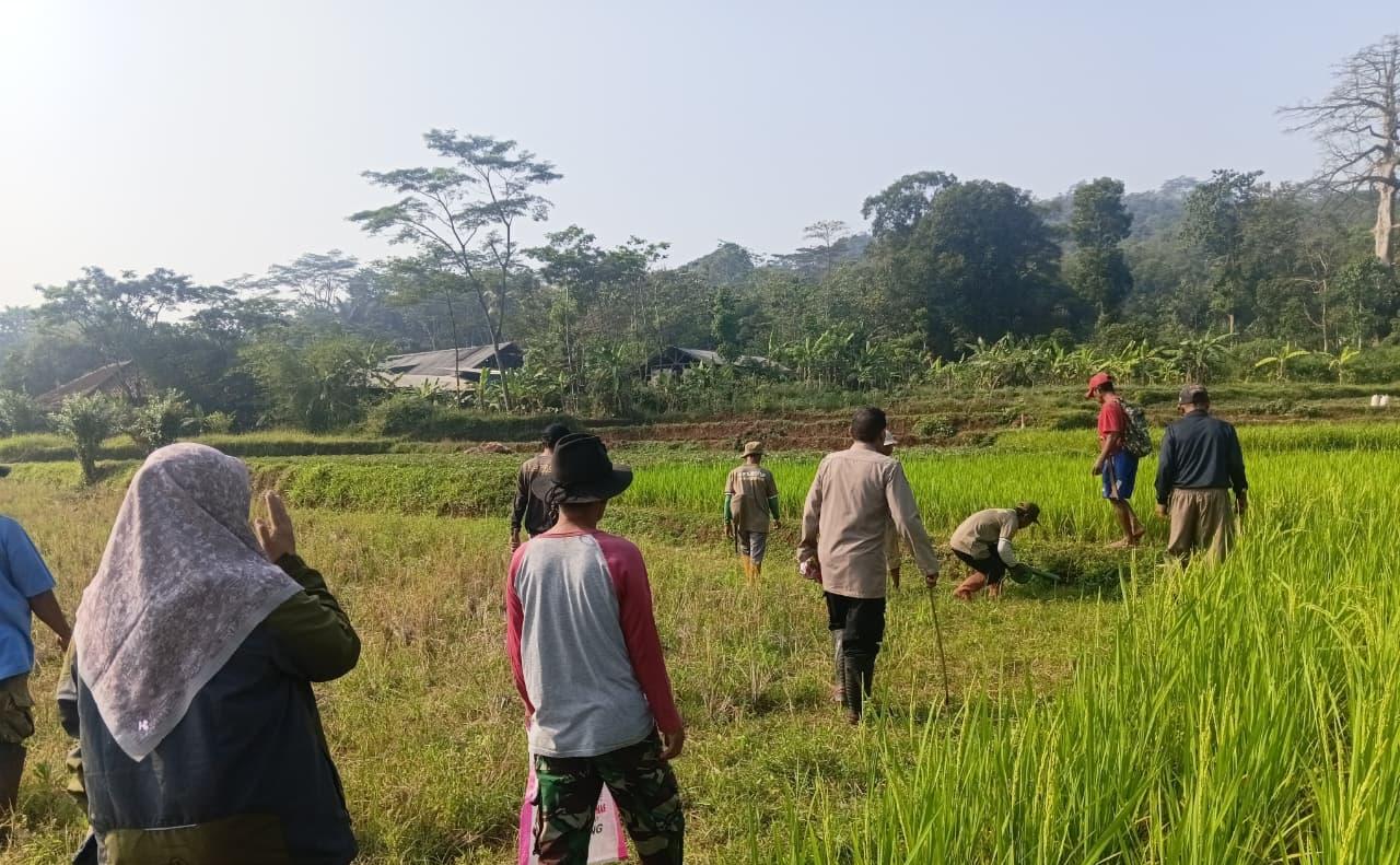 Satlantas polres Sumedang Gelar lomba basmi tikus